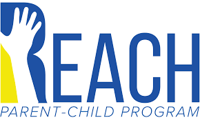 REACH SVHC通訊和報告要求